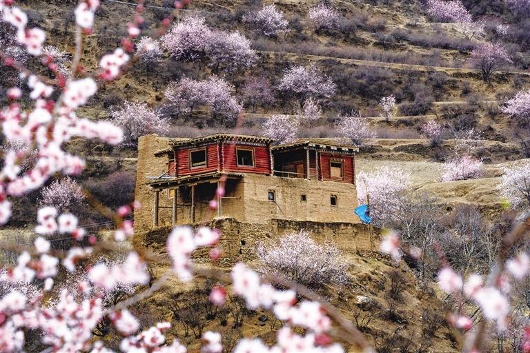 ས་ངན་མཁར་རྫོང་མཛེས་ཤིང་ལྟ་ན་སྡུག རིག་གནས་ཤུལ་བཞག་བཀྲག་མདངས་རབ་ཏུ་འཚེར།