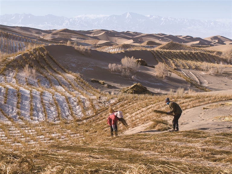 གངས་བབས་རྗེས་བྱེ་བཅོས་ལས་ལ་གཞོལ་བ།