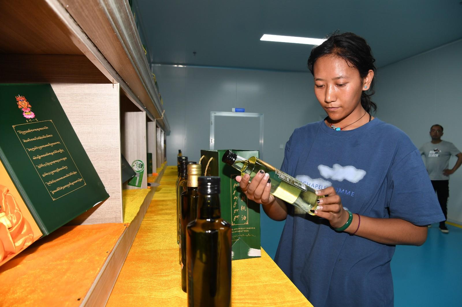 核桃树成“致富树”