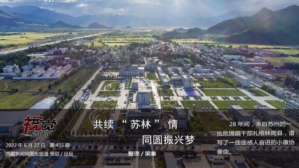 共续“苏林”情 同圆振兴梦