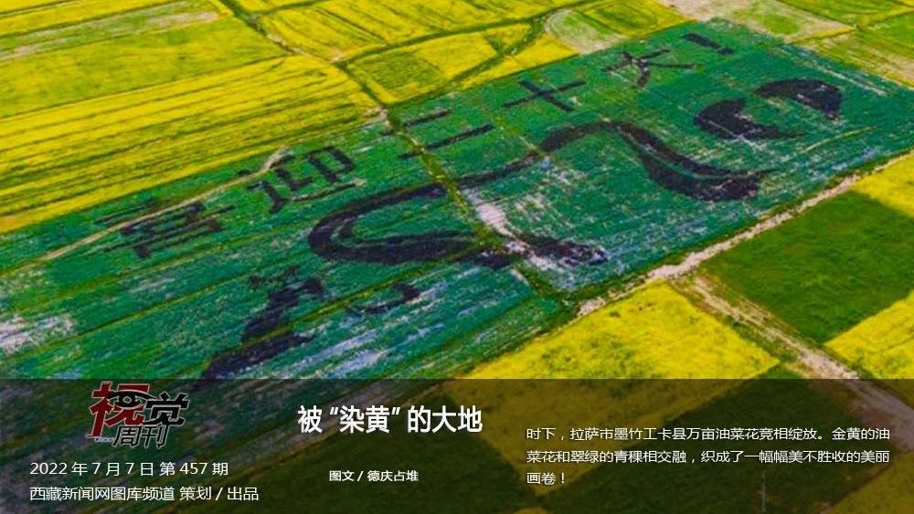 被“染黄”的大地