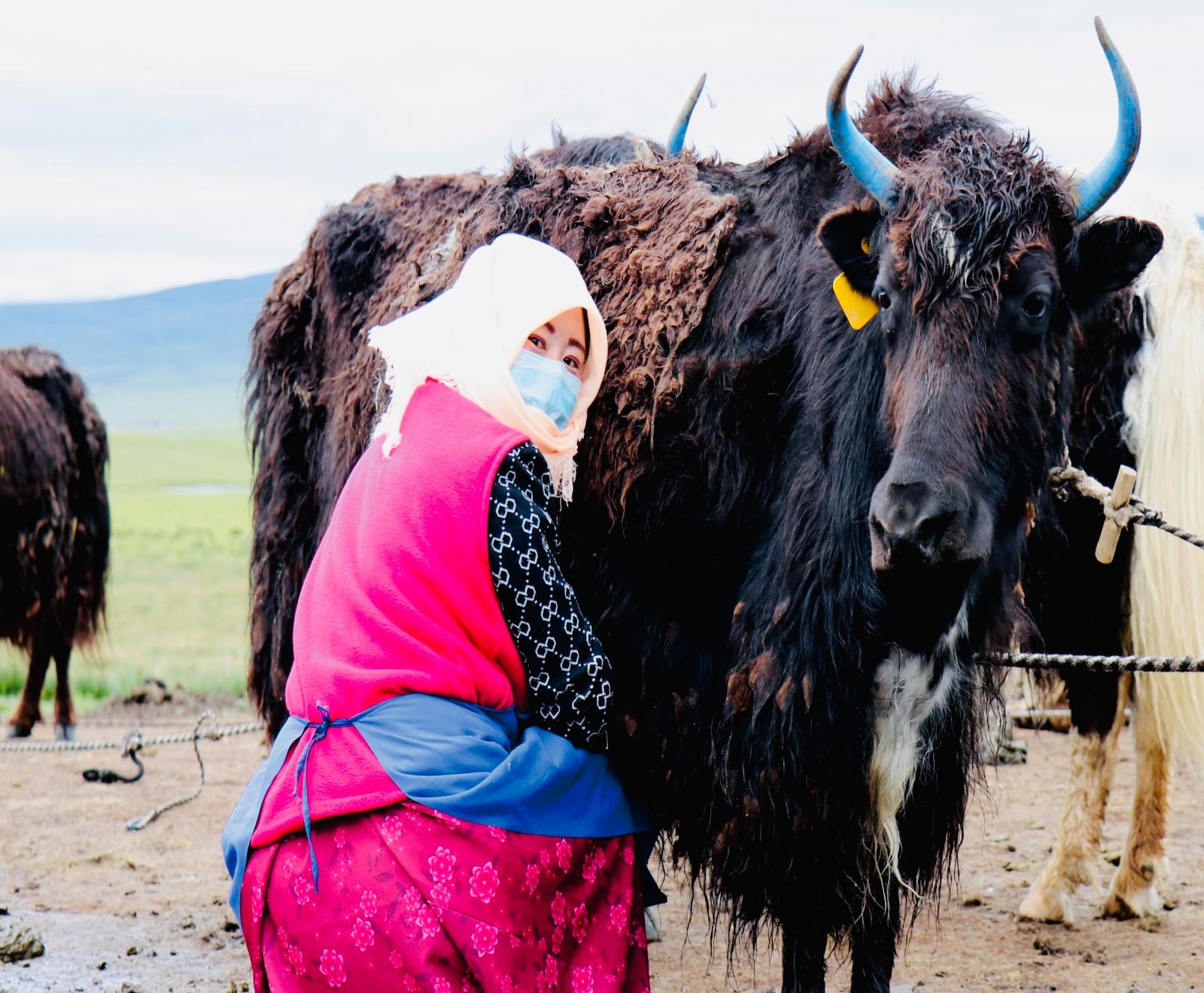 “高原之宝” 致富金钥匙
