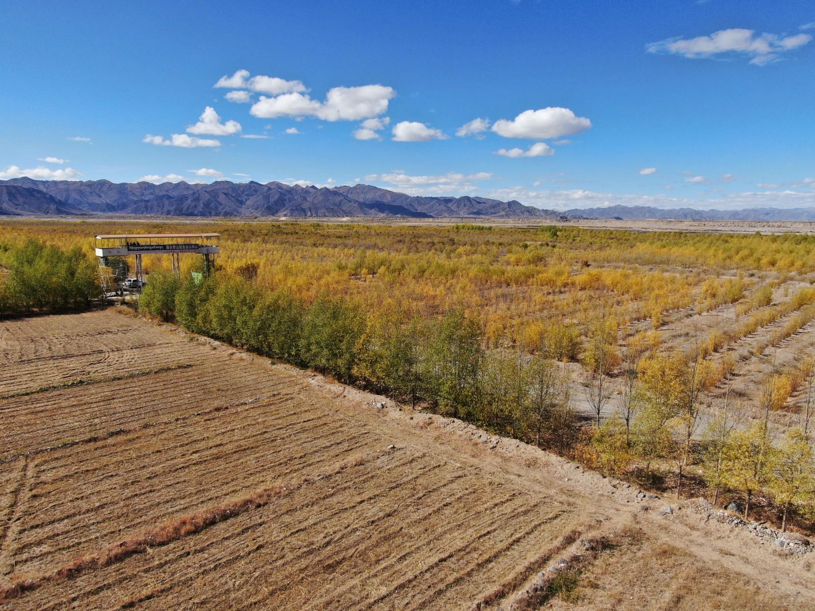 雅江北岸 林成片田成方
