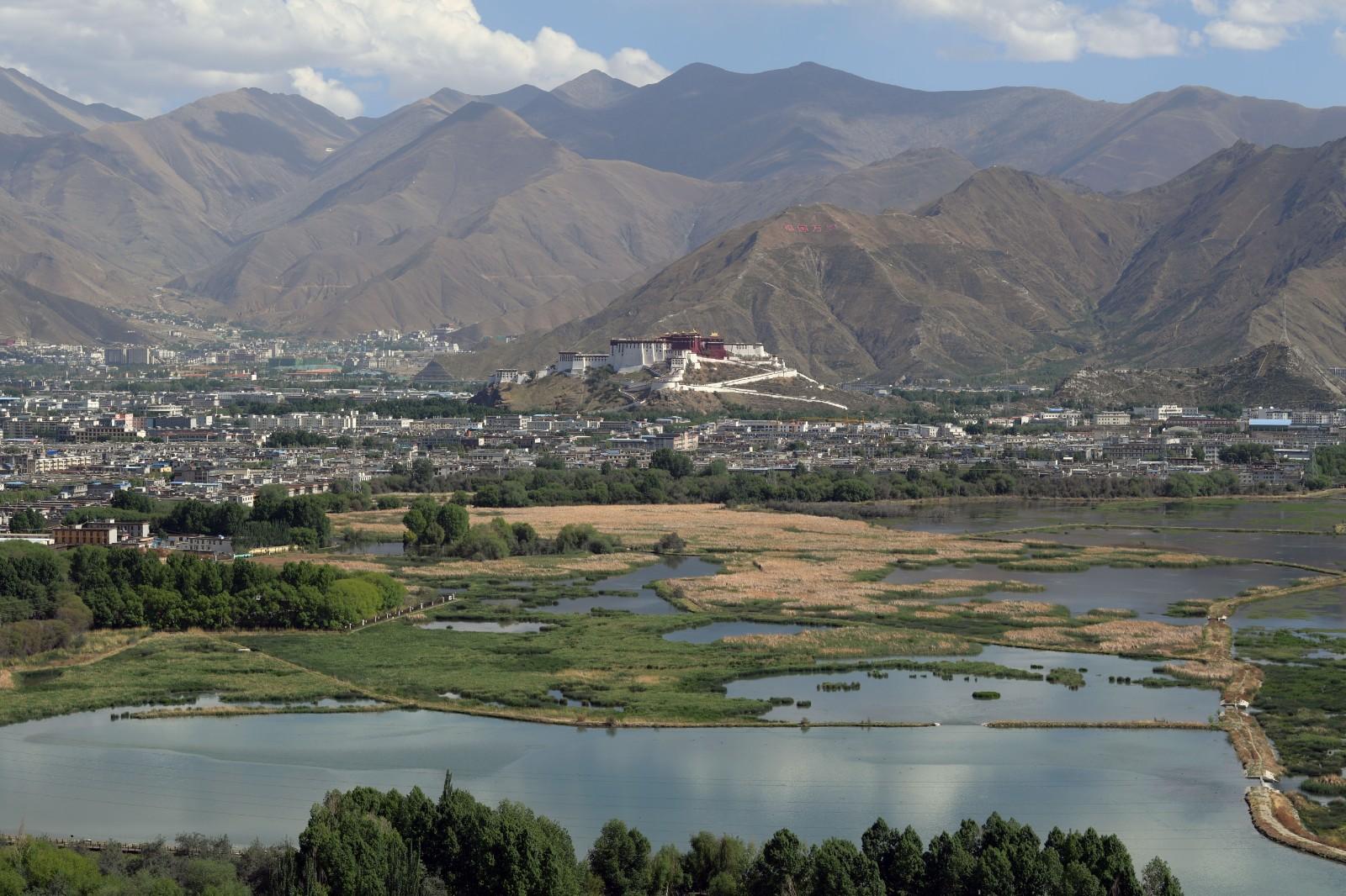 “拉萨之肺”城市的天然氧吧