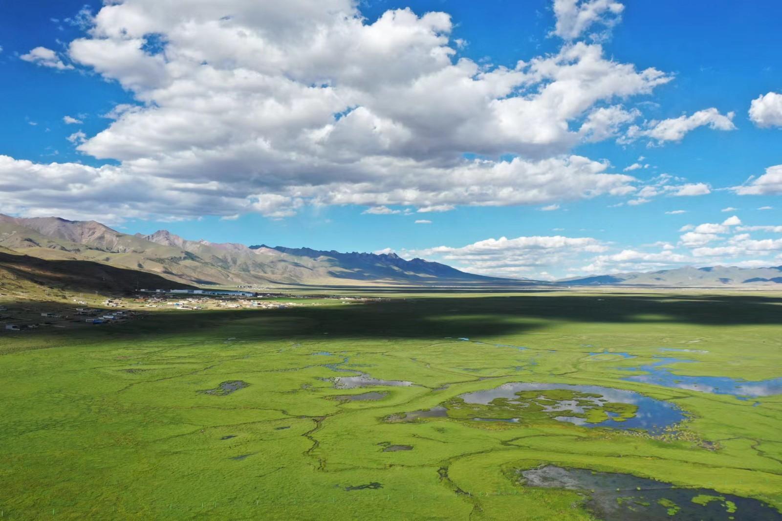 水草丰美绿意浓
