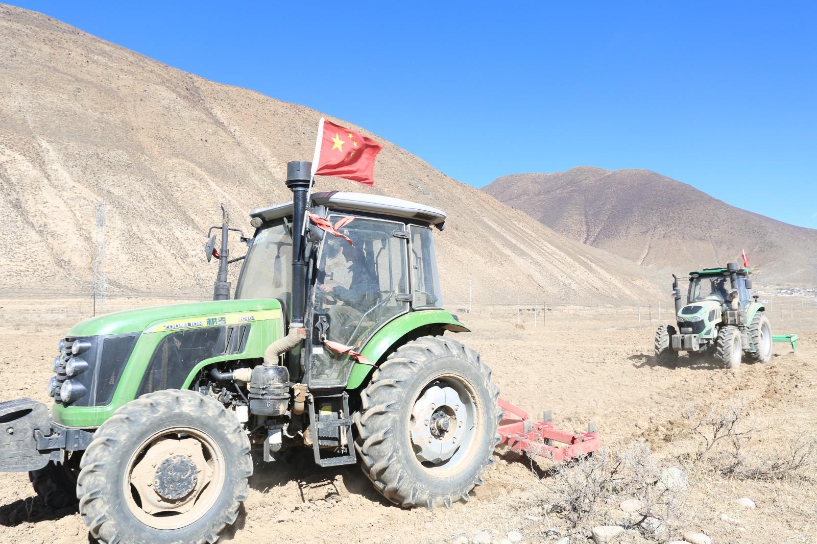 西藏田间冬耕忙