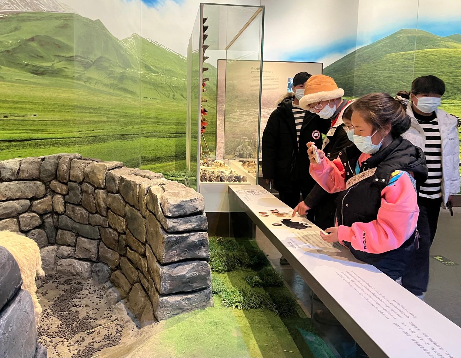 在西藏博物馆感受文化魅力