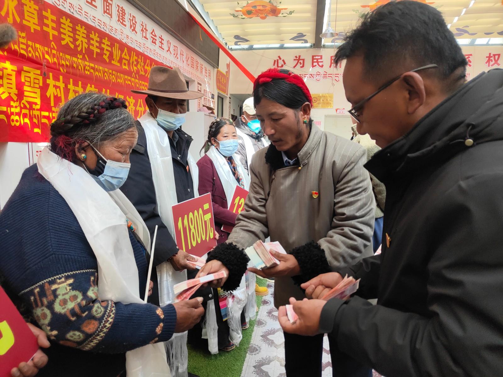 产业有活力 群众享分红