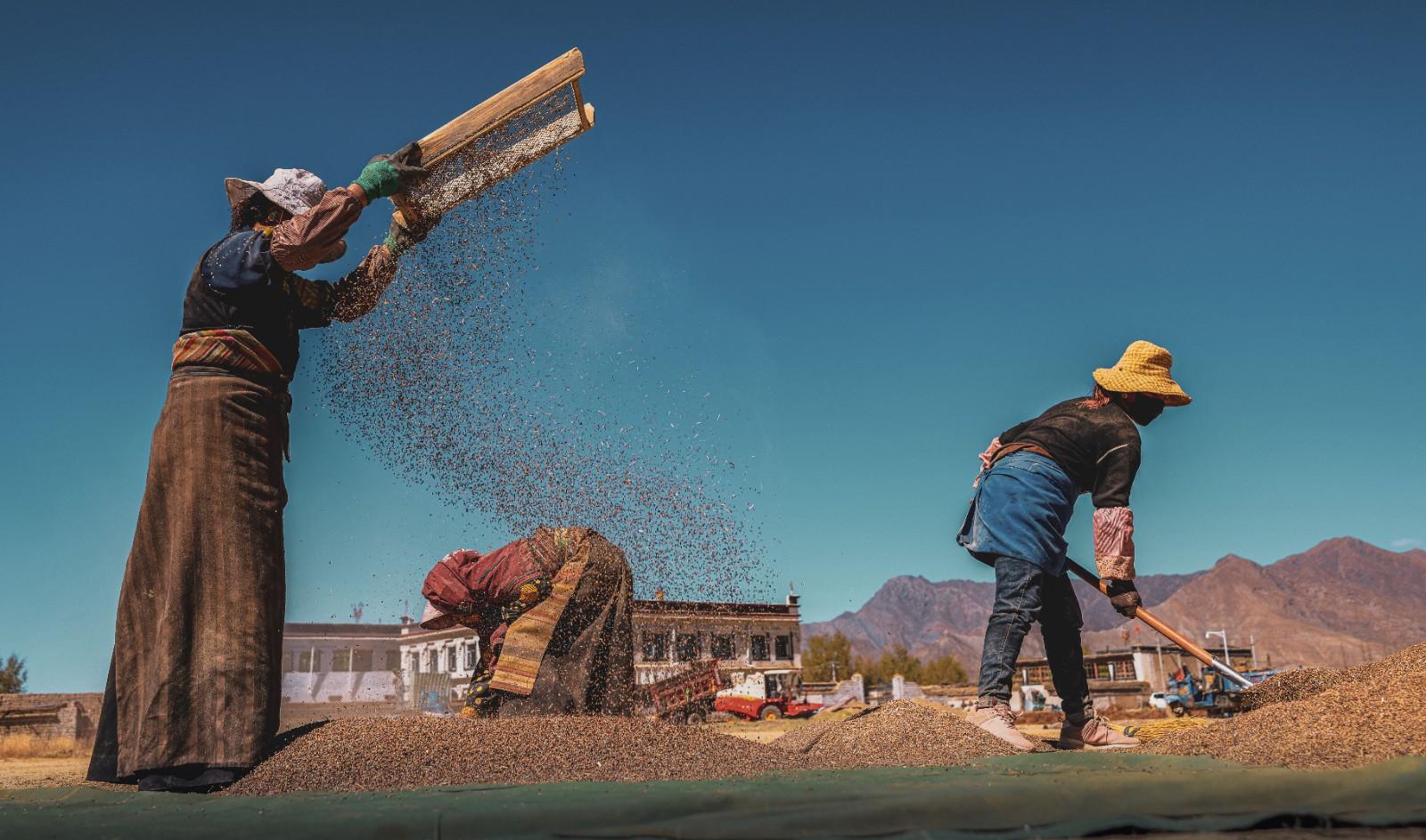 “第十五届西藏珠穆朗玛摄影大展”作品选登