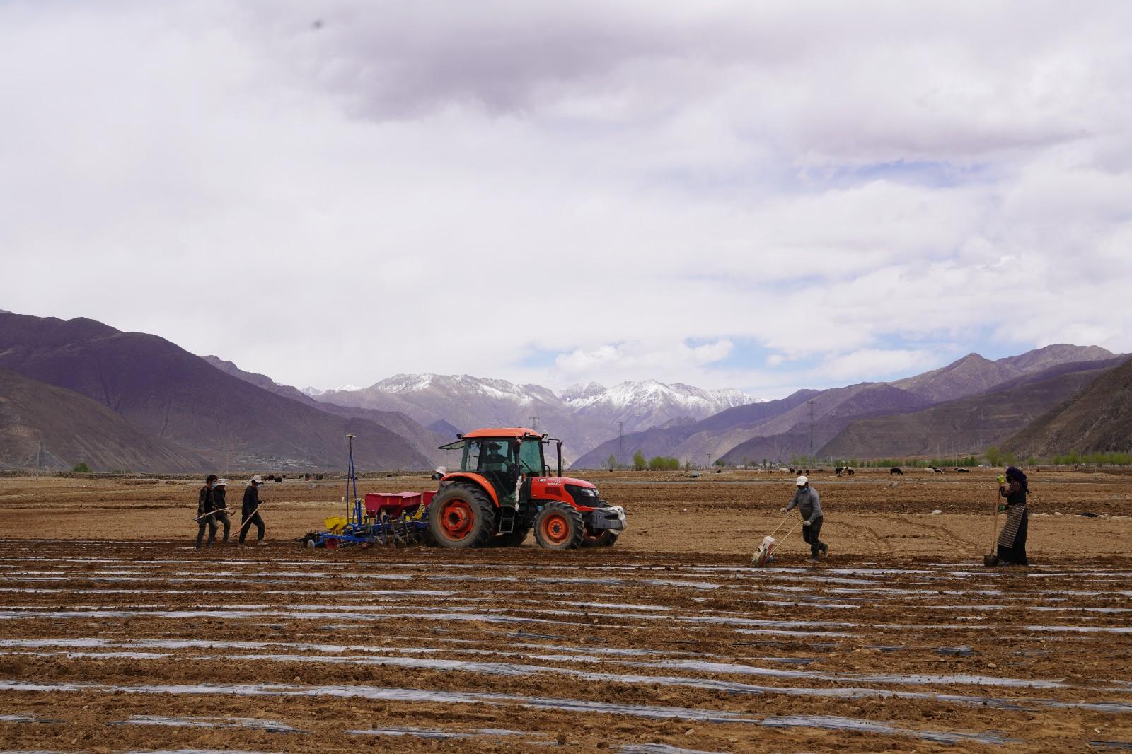 春回大地 播种希望