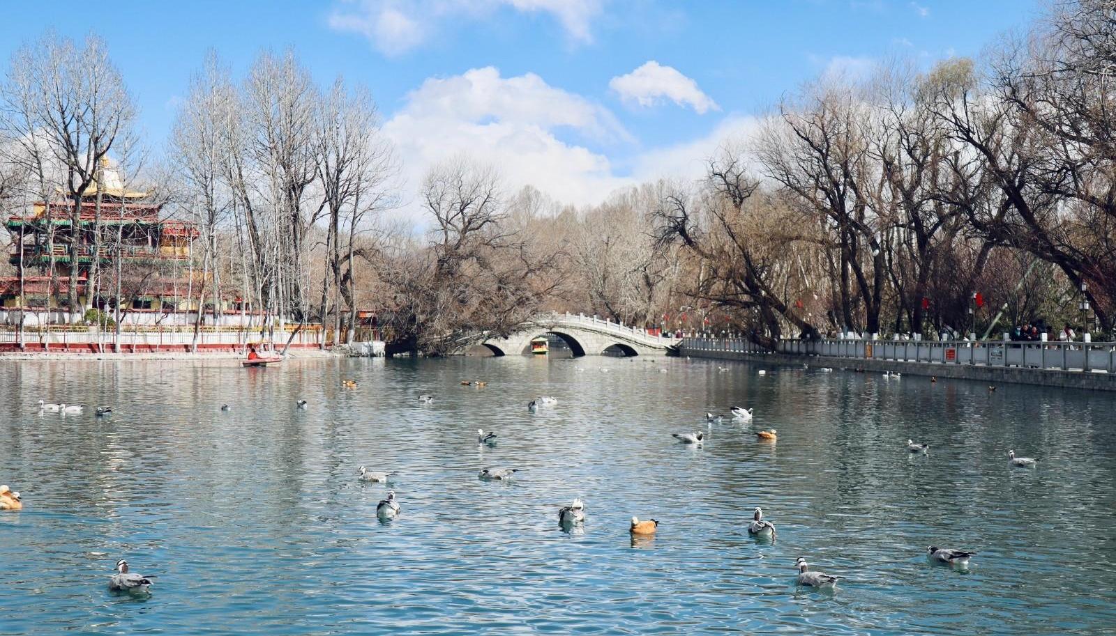 春意浓 踏青赏花正当时