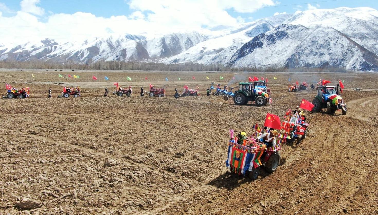 春播万颗粒 秋收满粮仓