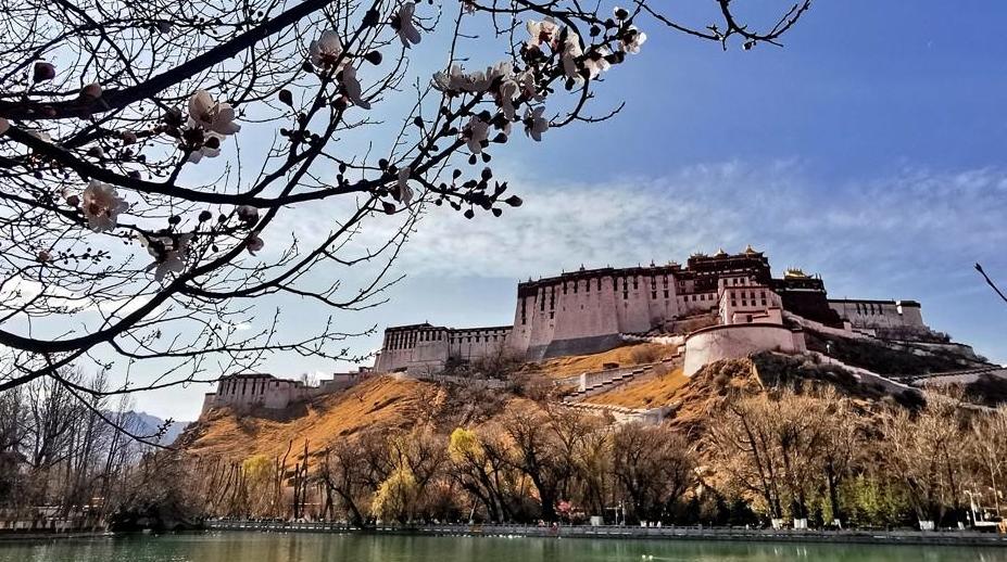 宗角禄康春日美景