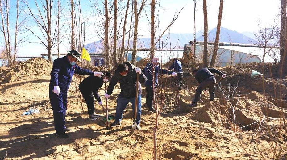 义务植树忙 添绿正当时