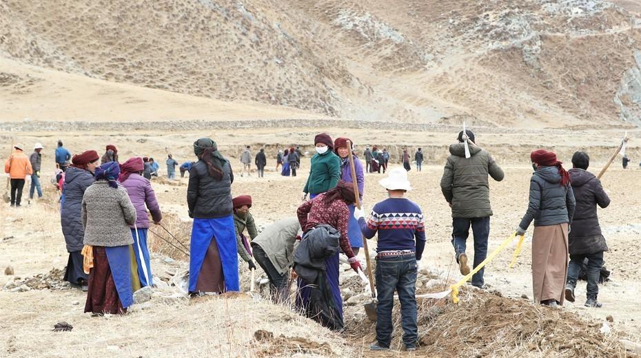 人勤春早 农事忙