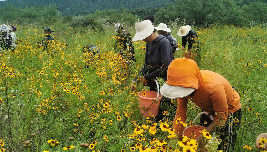 一季度巴宜区实现转移就业增收“开门红”