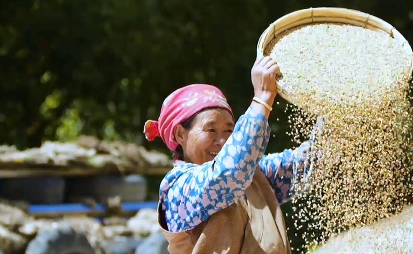 铺就曲水美丽幸福路