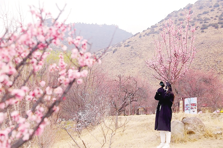 青藏高原乡村发展见闻:走进雪域高原“桃花源”