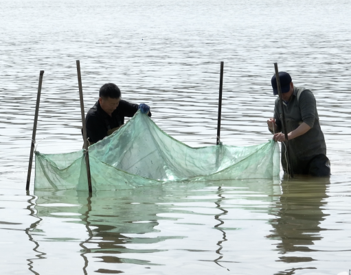 广东援藏助推林芝渔业高质量发展