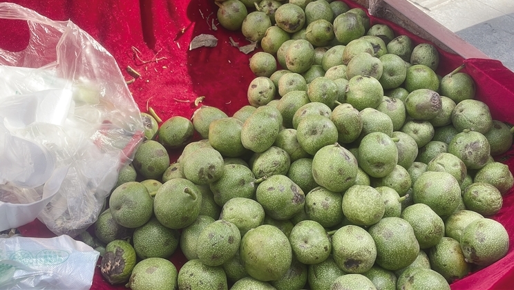 青皮核桃上市啦!