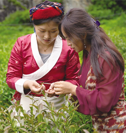 “皖藏一家亲” 真情洒高原