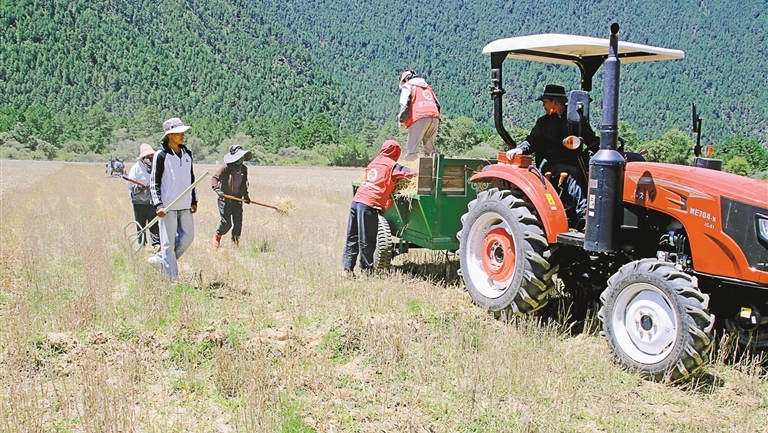 田间助秋收 服务暖人心