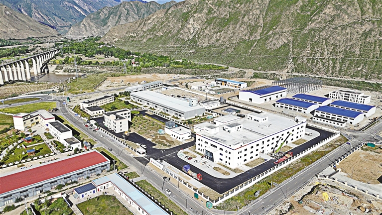 湖北省科技援藏:多方合力让小菌株带动大财富