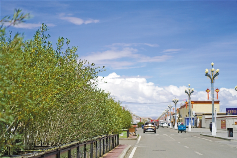 阿里地区措勤县防沙治沙取得阶段性成效