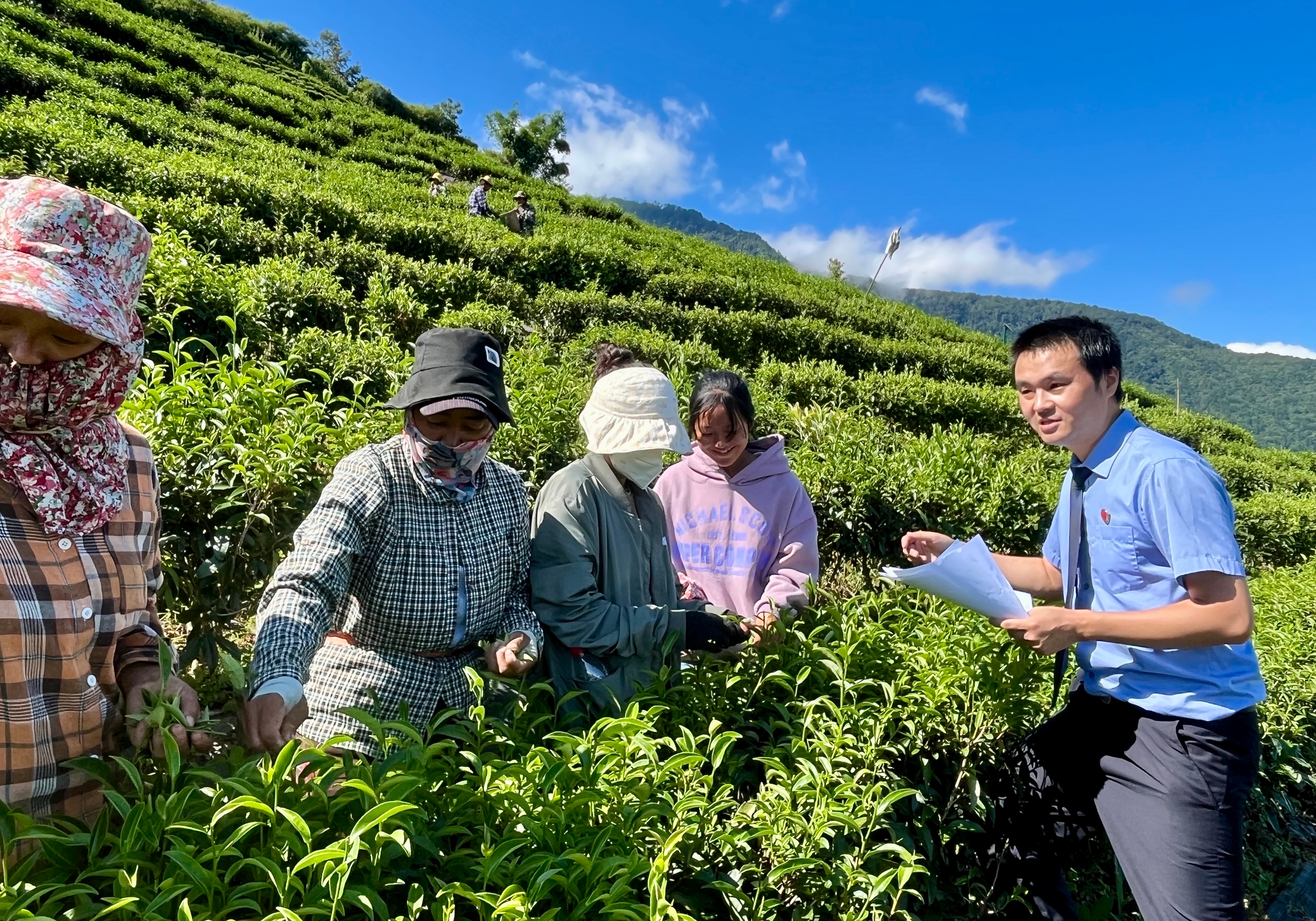 茶园宣讲 “声”入人心