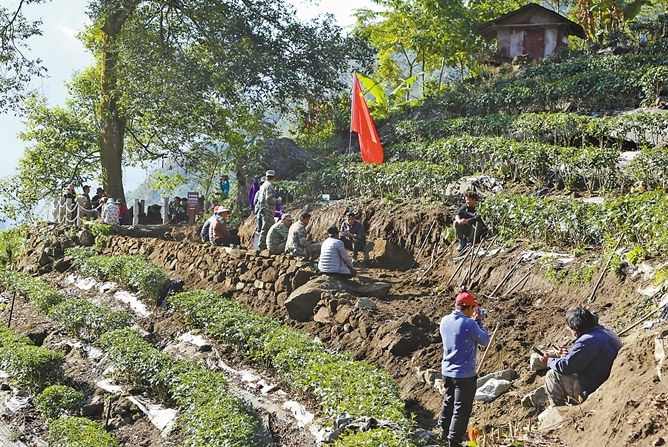 区域化布局 林芝市推动茶果产业高质量发展