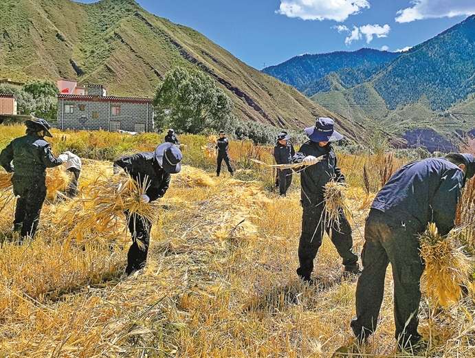 田间地头 助农秋收