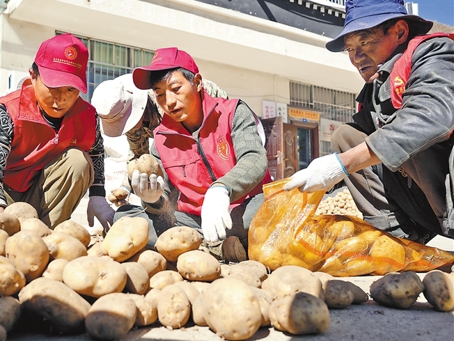 助力土豆销售 增加群众收入