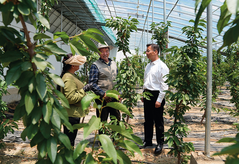 瞭望 | 父子援藏薪火相传