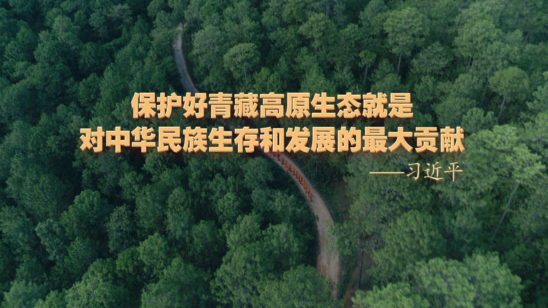 西藏森林消防总队森林防火公益宣传