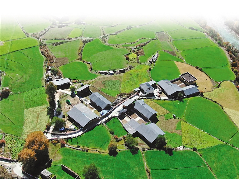 加强耕地保护 确保粮食安全