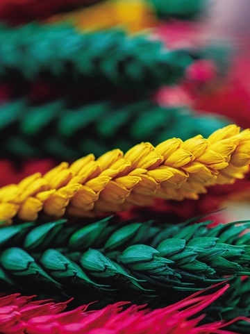 坚守与传承 桑木村的“罗萨梅朵”