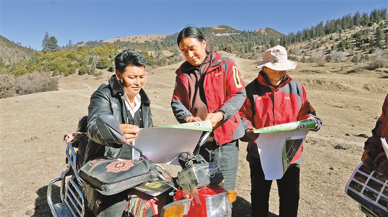 山林间的“绿色卫士”