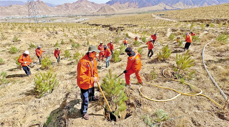 植树添绿 正当时