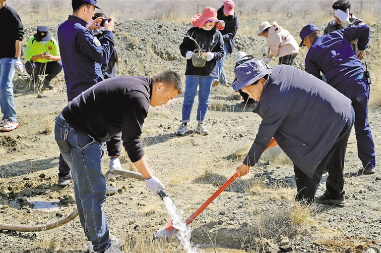 植树造林添新绿