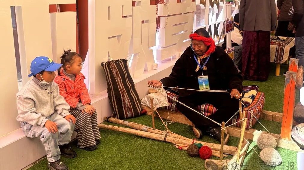 今天!景德镇“出土”西藏牦牛啦