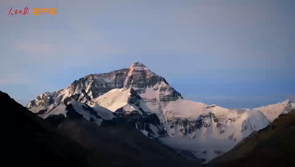 打开雪豹的朋友圈，感受什么叫高原生命力！