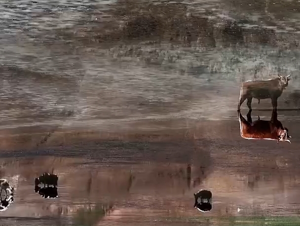 摄影发烧友捕捉浪措梦幻美景