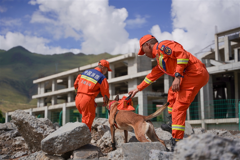 西藏森林消防搜救犬练就“十八般武艺”