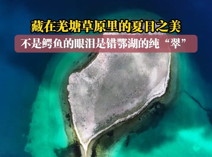 藏在羌塘草原里的夏日之美