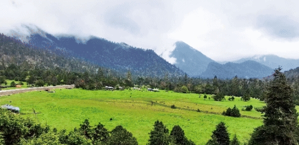 辉煌60年·遇见高原的城|玉珍带你游米林