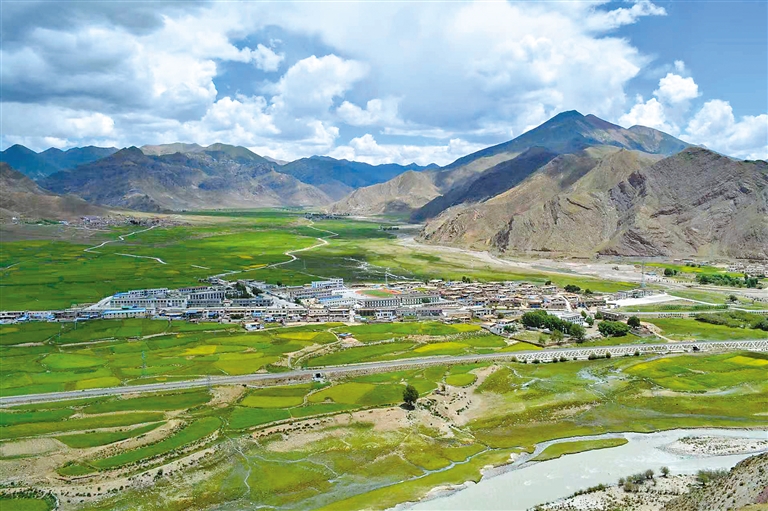 “四朵花”绘就“山乡巨变”新画卷