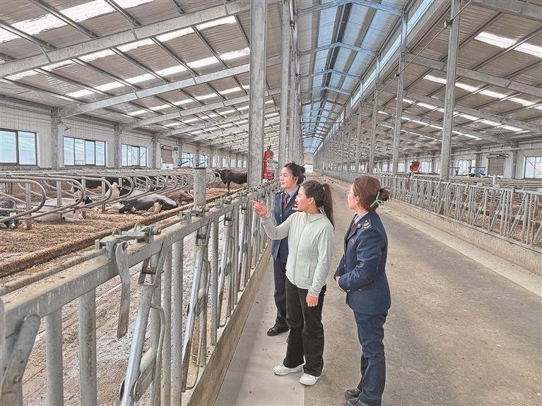 税惠“春风”拂沃野 服务“甘霖”助农兴