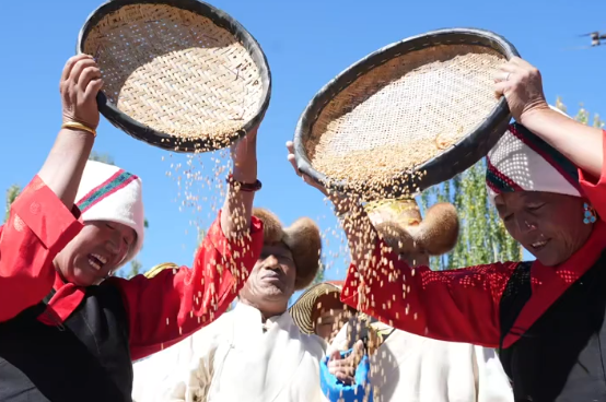 第八个中国农民丰收节，西藏各地洋溢丰收的喜悦
