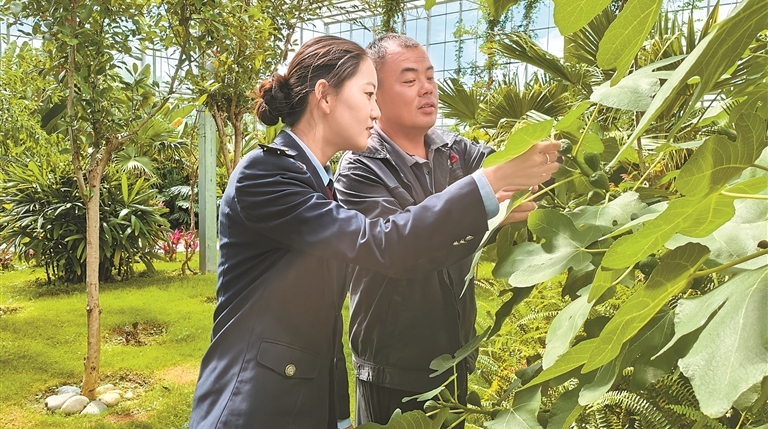 带政策上门助力生态与经济共赢