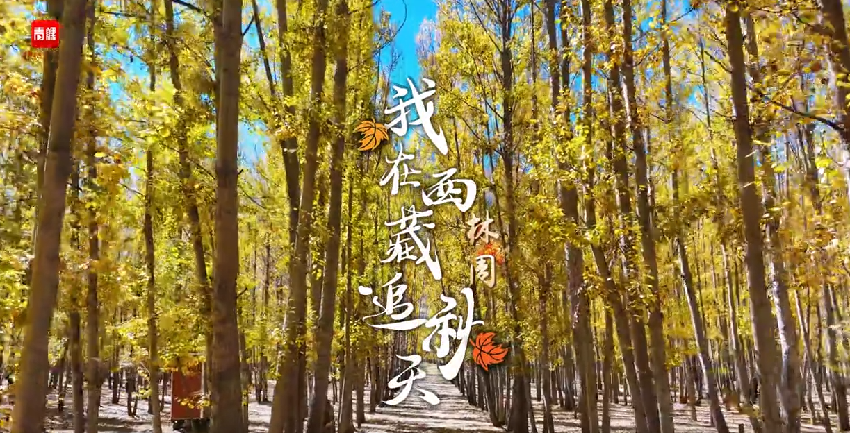 《我在西藏追秋天》行进式视频栏目正式开播！